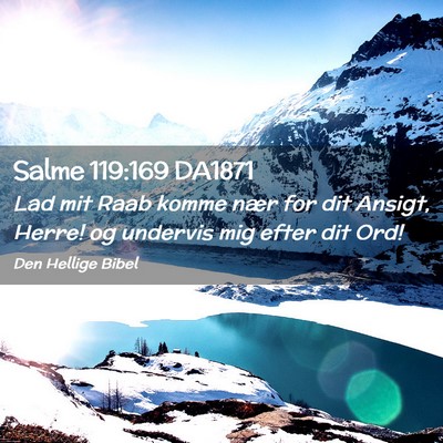 Picture 02 - Salme 119:169 DA1871 - Lad mit Raab komme nær for dit Ansigt, Herre! og - Bible Verse Picture