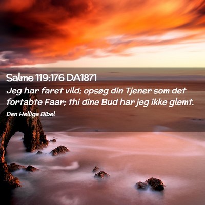 Picture 02 - Salme 119:176 DA1871 - Jeg har faret vild; opsøg din Tjener som det - Bible Verse Picture
