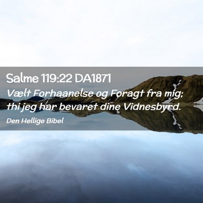 Picture 02 - Salme 119:22 DA1871 - Vælt Forhaanelse og Foragt fra mig; thi jeg har - Bible Verse Picture