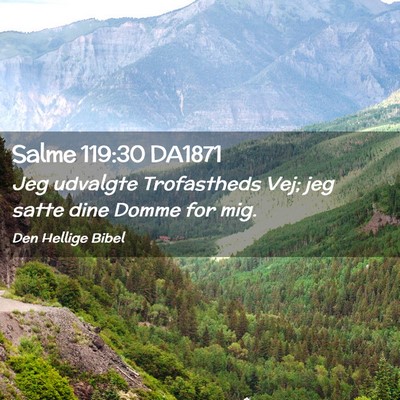 Picture 02 - Salme 119:30 DA1871 - Jeg udvalgte Trofastheds Vej; jeg satte dine - Bible Verse Picture