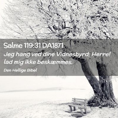 Picture 02 - Salme 119:31 DA1871 - Jeg hang ved dine Vidnesbyrd; Herre! lad mig ikke - Bible Verse Picture