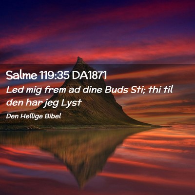 Picture 02 - Salme 119:35 DA1871 - Led mig frem ad dine Buds Sti; thi til den har - Bible Verse Picture