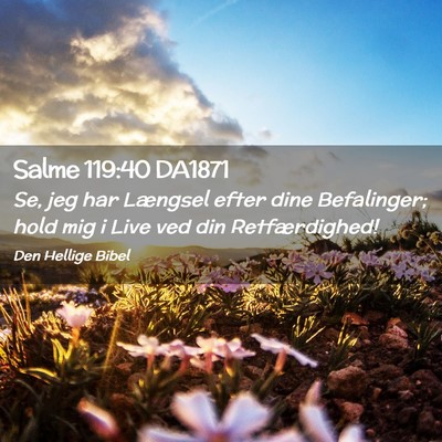 Picture 02 - Salme 119:40 DA1871 - Se, jeg har Længsel efter dine Befalinger; hold - Bible Verse Picture