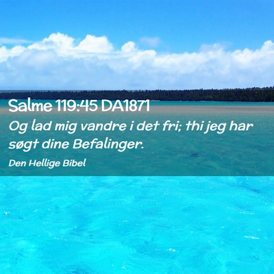 Picture 02 - Salme 119:45 DA1871 - Og lad mig vandre i det fri; thi jeg har søgt - Bible Verse Picture