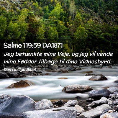 Picture 02 - Salme 119:59 DA1871 - Jeg betænkte mine Veje, og jeg vil vende mine - Bible Verse Picture