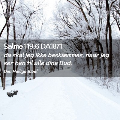 Picture 02 - Salme 119:6 DA1871 - da skal jeg ikke beskæmmes, naar jeg ser hen til - Bible Verse Picture