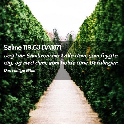 Picture 02 - Salme 119:63 DA1871 - Jeg har Samkvem med alle dem, som frygte dig, og - Bible Verse Picture