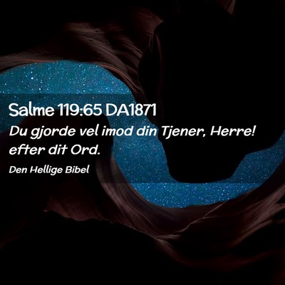 Picture 02 - Salme 119:65 DA1871 - Du gjorde vel imod din Tjener, Herre! efter dit - Bible Verse Picture