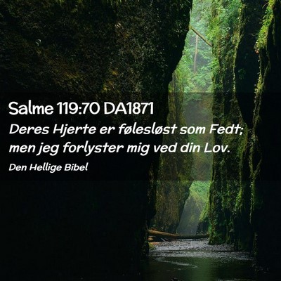 Picture 02 - Salme 119:70 DA1871 - Deres Hjerte er følesløst som Fedt; men jeg - Bible Verse Picture