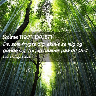Picture 02 - Salme 119:74 DA1871 - De, som frygte dig, skulle se mig og glæde sig; - Bible Verse Picture