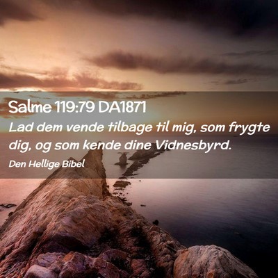 Picture 02 - Salme 119:79 DA1871 - Lad dem vende tilbage til mig, som frygte dig, og - Bible Verse Picture