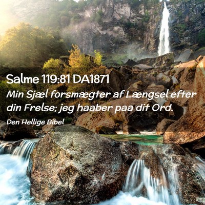 Picture 02 - Salme 119:81 DA1871 - Min Sjæl forsmægter af Længsel efter din - Bible Verse Picture