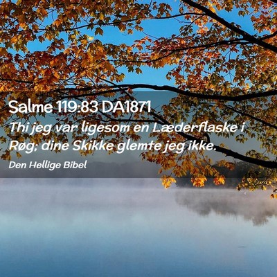 Picture 02 - Salme 119:83 DA1871 - Thi jeg var ligesom en Læderflaske i Røg; dine - Bible Verse Picture