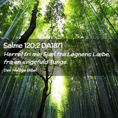 Picture 02 - Salme 120:2 DA1871 - Herre! fri min Sjæl fra Løgnens Læbe, fra en - Bible Verse Picture