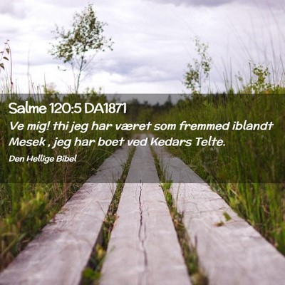 Picture 02 - Salme 120:5 DA1871 - Ve mig! thi jeg har været som fremmed iblandt - Bible Verse Picture