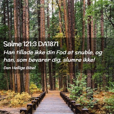 Picture 02 - Salme 121:3 DA1871 - Han tillade ikke din Fod at snuble, og han, som - Bible Verse Picture