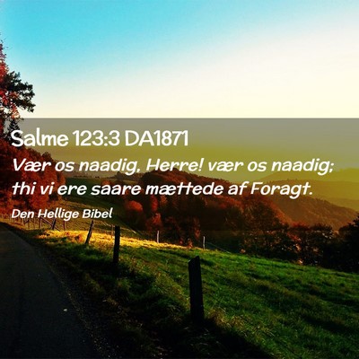 Picture 02 - Salme 123:3 DA1871 - Vær os naadig, Herre! vær os naadig; thi vi ere - Bible Verse Picture