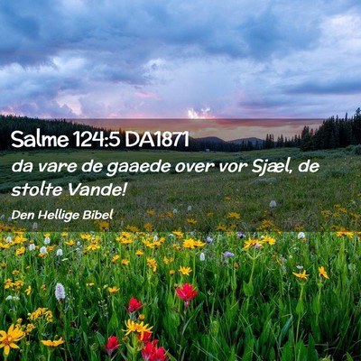 Picture 02 - Salme 124:5 DA1871 - da vare de gaaede over vor Sjæl, de stolte - Bible Verse Picture