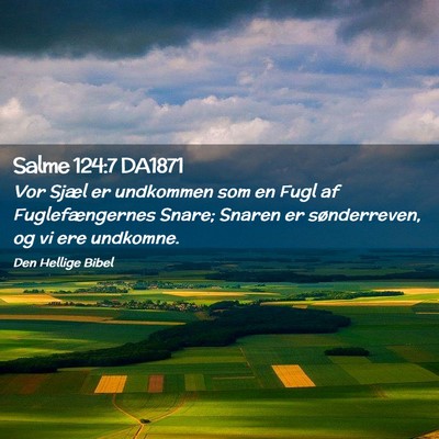 Picture 02 - Salme 124:7 DA1871 - Vor Sjæl er undkommen som en Fugl af - Bible Verse Picture