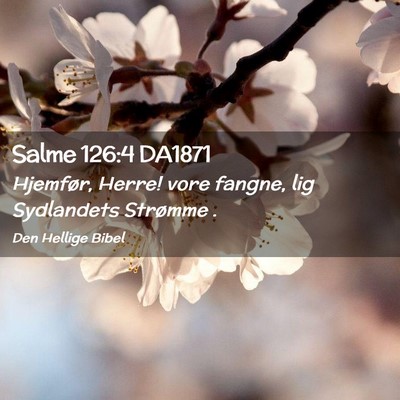 Picture 02 - Salme 126:4 DA1871 - Hjemfør, Herre! vore fangne, lig Sydlandets - Bible Verse Picture