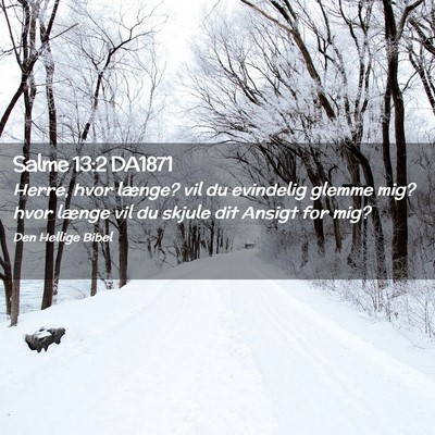 Picture 02 - Salme 13:2 DA1871 - Herre, hvor længe? vil du evindelig glemme mig? - Bible Verse Picture