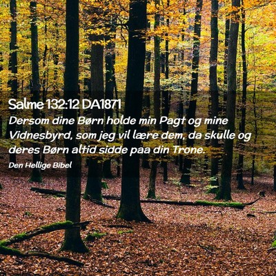 Picture 02 - Salme 132:12 DA1871 - Dersom dine Børn holde min Pagt og mine - Bible Verse Picture