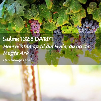 Picture 02 - Salme 132:8 DA1871 - Herre! staa op til din Hvile, du og din Magts - Bible Verse Picture