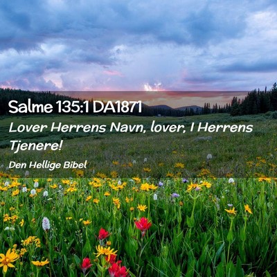 Picture 02 - Salme 135:1 DA1871 - Lover Herrens Navn, lover, I Herrens - Bible Verse Picture