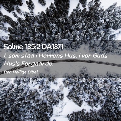 Picture 02 - Salme 135:2 DA1871 - I, som staa i Herrens Hus, i vor Guds Hus's - Bible Verse Picture