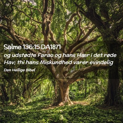 Picture 02 - Salme 136:15 DA1871 - og udstødte Farao og hans Hær i det røde Hav; - Bible Verse Picture