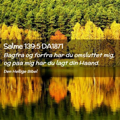 Picture 02 - Salme 139:5 DA1871 - Bagfra og forfra har du omsluttet mig, og paa mig - Bible Verse Picture