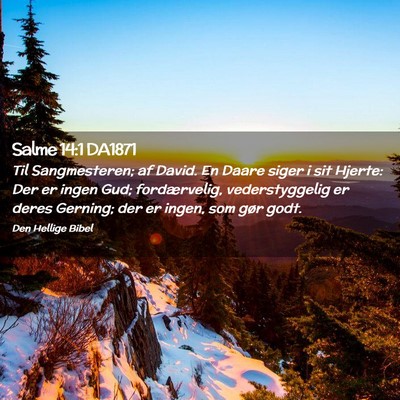 Picture 02 - Salme 14:1 DA1871 - Til Sangmesteren; af David. En Daare siger i sit - Bible Verse Picture
