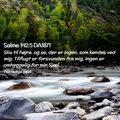 Picture 02 - Salme 142:5 DA1871 - Sku til højre, og se, der er ingen, som kendes - Bible Verse Picture