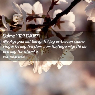 Picture 02 - Salme 142:7 DA1871 - Giv Agt paa mit Skrig; thi jeg er bleven saare - Bible Verse Picture