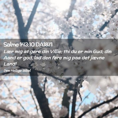 Picture 02 - Salme 143:10 DA1871 - Lær mig at gøre din Villie; thi du er min Gud; - Bible Verse Picture