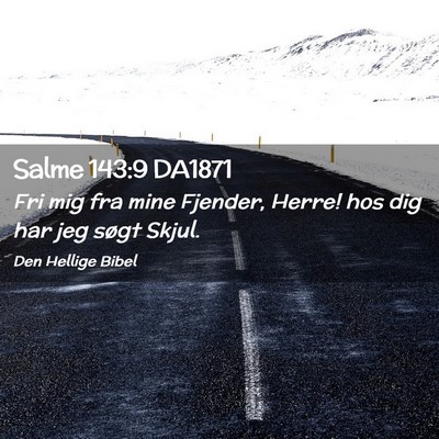 Picture 02 - Salme 143:9 DA1871 - Fri mig fra mine Fjender, Herre! hos dig har jeg - Bible Verse Picture