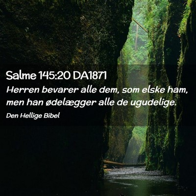 Picture 02 - Salme 145:20 DA1871 - Herren bevarer alle dem, som elske ham, men han - Bible Verse Picture