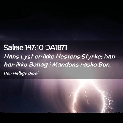 Picture 02 - Salme 147:10 DA1871 - Hans Lyst er ikke Hestens Styrke; han har ikke - Bible Verse Picture