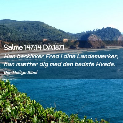 Picture 02 - Salme 147:14 DA1871 - Han beskikker Fred i dine Landemærker, han - Bible Verse Picture
