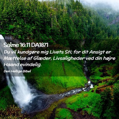 Picture 02 - Salme 16:11 DA1871 - Du vil kundgøre mig Livets Sti; for dit Ansigt - Bible Verse Picture