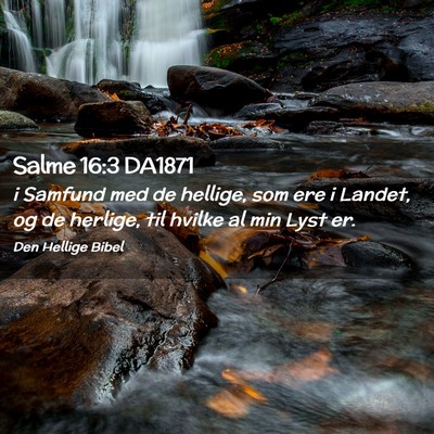 Picture 02 - Salme 16:3 DA1871 - i Samfund med de hellige, som ere i Landet, og de - Bible Verse Picture