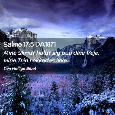 Picture 02 - Salme 17:5 DA1871 - Mine Skridt holdt sig paa dine Veje, mine Trin - Bible Verse Picture
