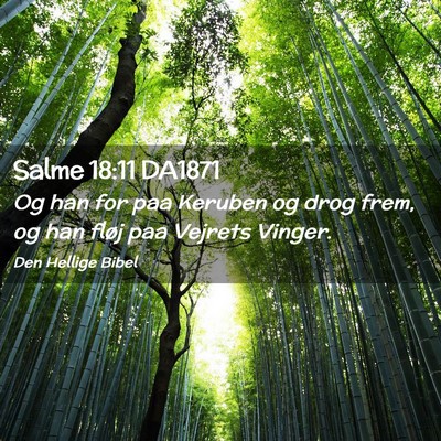 Picture 02 - Salme 18:11 DA1871 - Og han for paa Keruben og drog frem, og han fløj - Bible Verse Picture