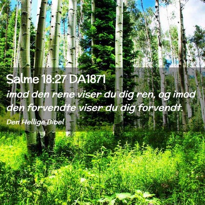 Picture 02 - Salme 18:27 DA1871 - imod den rene viser du dig ren, og imod den - Bible Verse Picture