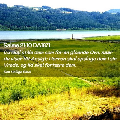 Picture 02 - Salme 21:10 DA1871 - Du skal stille dem som for en gloende Ovn, naar - Bible Verse Picture