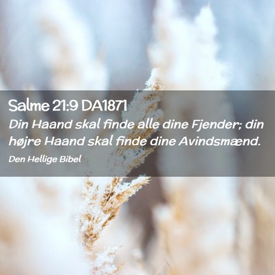 Picture 02 - Salme 21:9 DA1871 - Din Haand skal finde alle dine Fjender; din - Bible Verse Picture