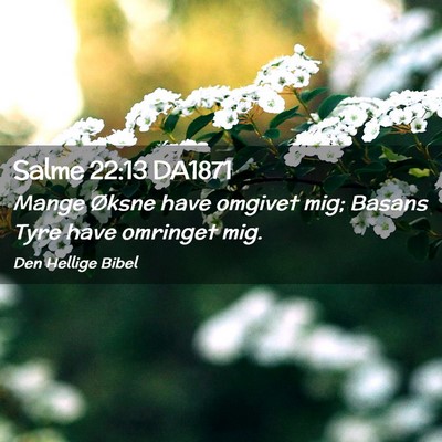 Picture 02 - Salme 22:13 DA1871 - Mange Øksne have omgivet mig; Basans Tyre have - Bible Verse Picture