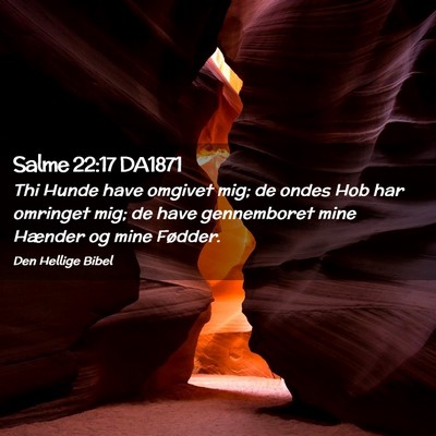 Picture 02 - Salme 22:17 DA1871 - Thi Hunde have omgivet mig; de ondes Hob har - Bible Verse Picture