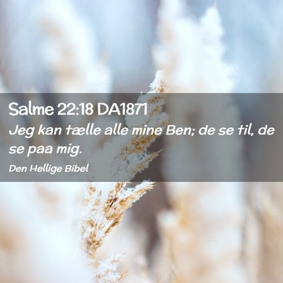 Picture 02 - Salme 22:18 DA1871 - Jeg kan tælle alle mine Ben; de se til, de se - Bible Verse Picture