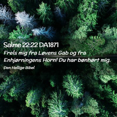 Picture 02 - Salme 22:22 DA1871 - Frels mig fra Løvens Gab og fra Enhjørningens - Bible Verse Picture